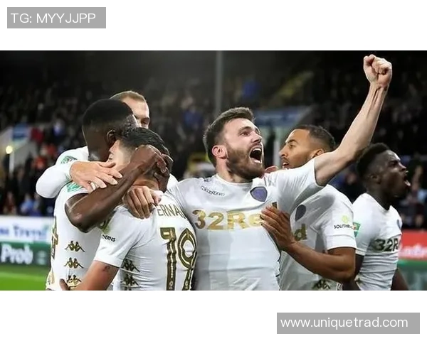 富勒姆与利兹联的精彩对决最终比分揭晓分析